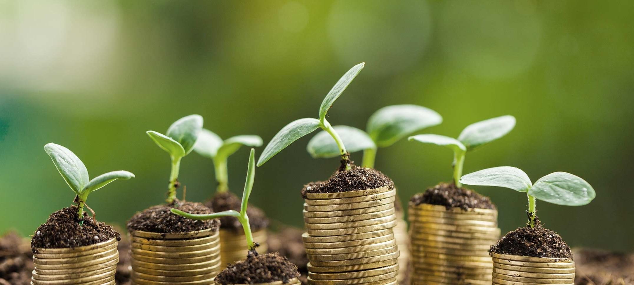£4.6 million Business Growth Warwickshire Programme unveiled